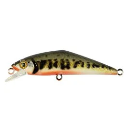 actionpeche-1861279
