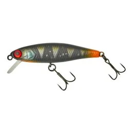 actionpeche-1862271