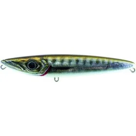 actionpeche-1862936