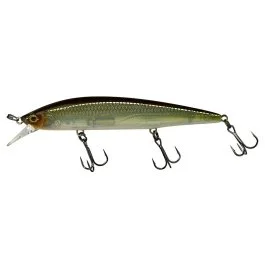 actionpeche-1863173