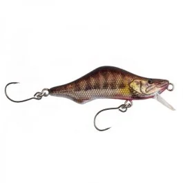 actionpeche-1863314