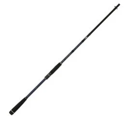actionpeche-1865154