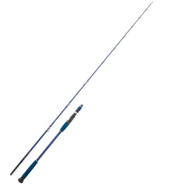 actionpeche-1865960