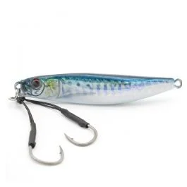 actionpeche-1865981