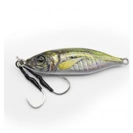 actionpeche-1865986
