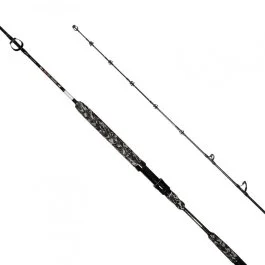 actionpeche-1866323