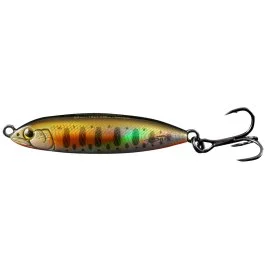 actionpeche-1866400
