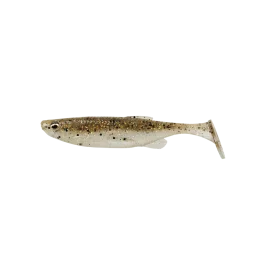 actionpeche-1866713