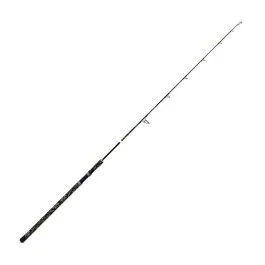 actionpeche-1867514