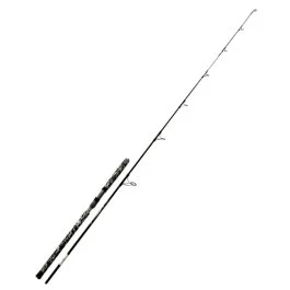 actionpeche-1867541