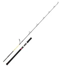 actionpeche-1867927