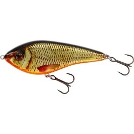 actionpeche-1868399