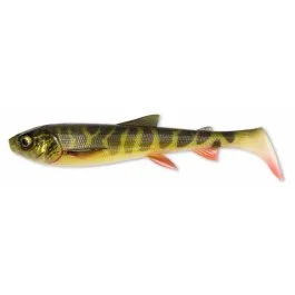 actionpeche-1868506