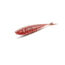 actionpeche-1868943