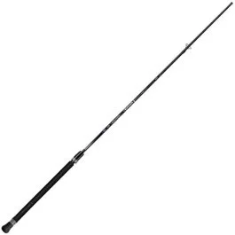 actionpeche-1869043