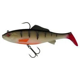 actionpeche-1869221