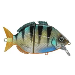 actionpeche-1869359
