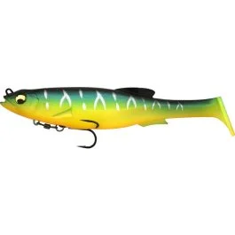 actionpeche-1869396