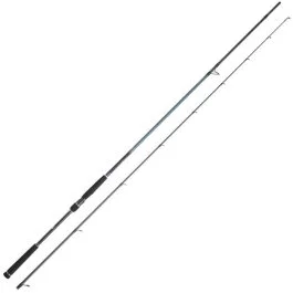 actionpeche-1869481