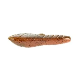 actionpeche-1869496