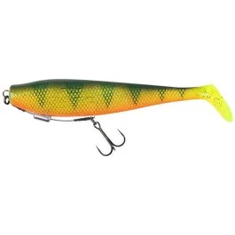 actionpeche-1869814
