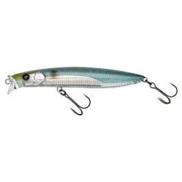 actionpeche-1869985