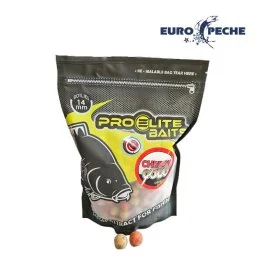 actionpeche-1870145