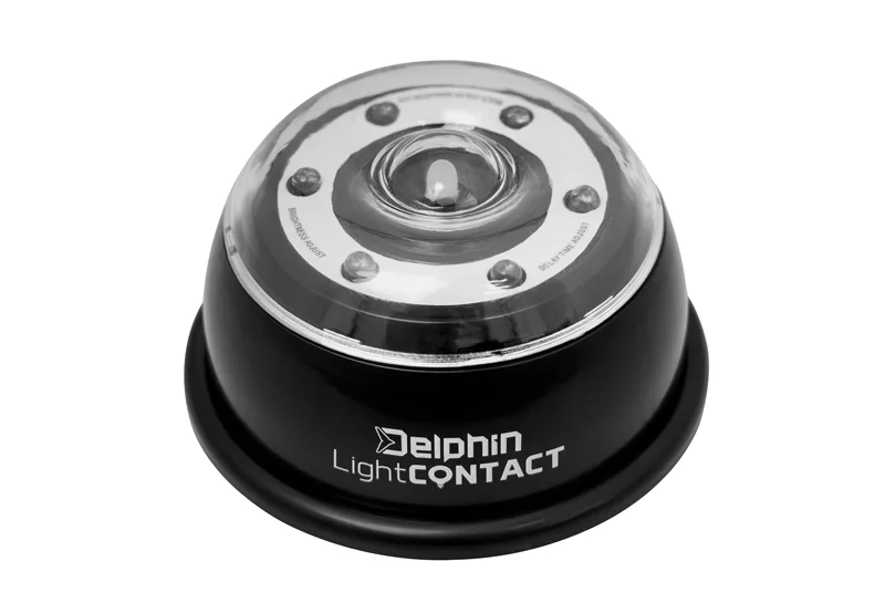 delphinpeche-1850680