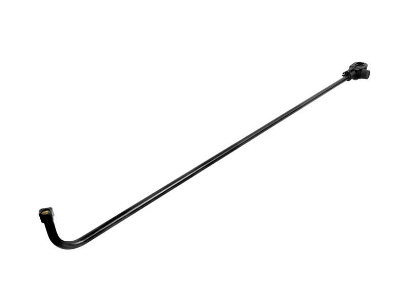 delphinpeche-1852726
