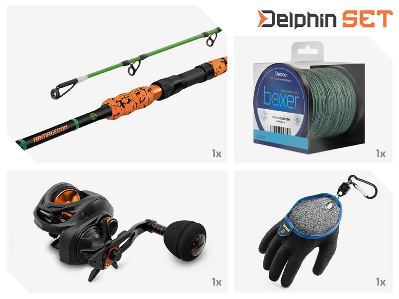 delphinpeche-1857824