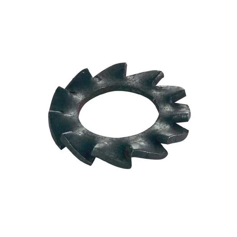 dimensionepesca-1889559