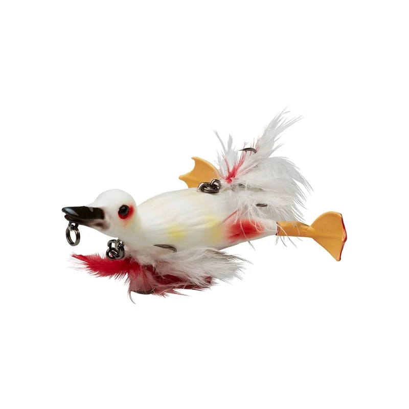 dimensionepesca-1919618