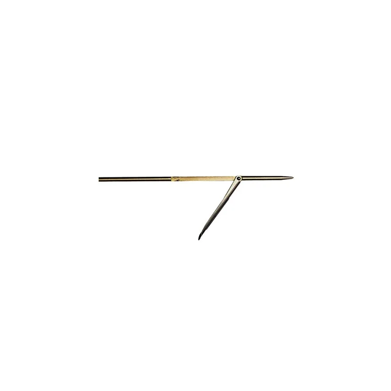 dimensionepesca-2035047