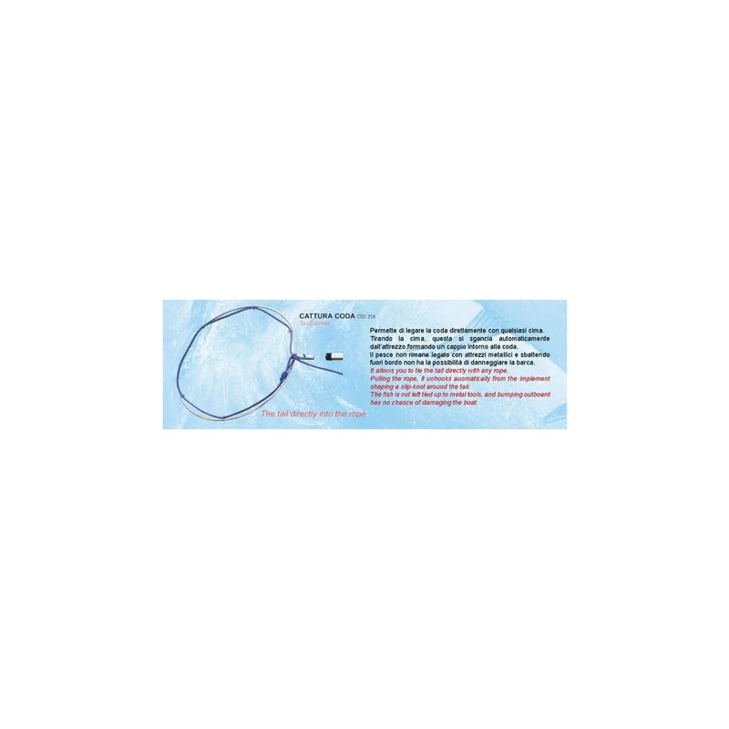 dimensionepesca-2035119