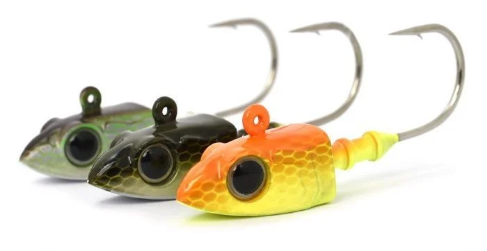 fishandnature-1839993