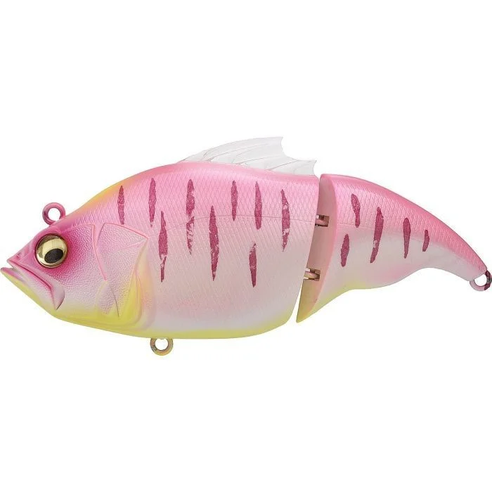 fishandnature-1841069