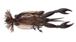 fishandnature-1841183