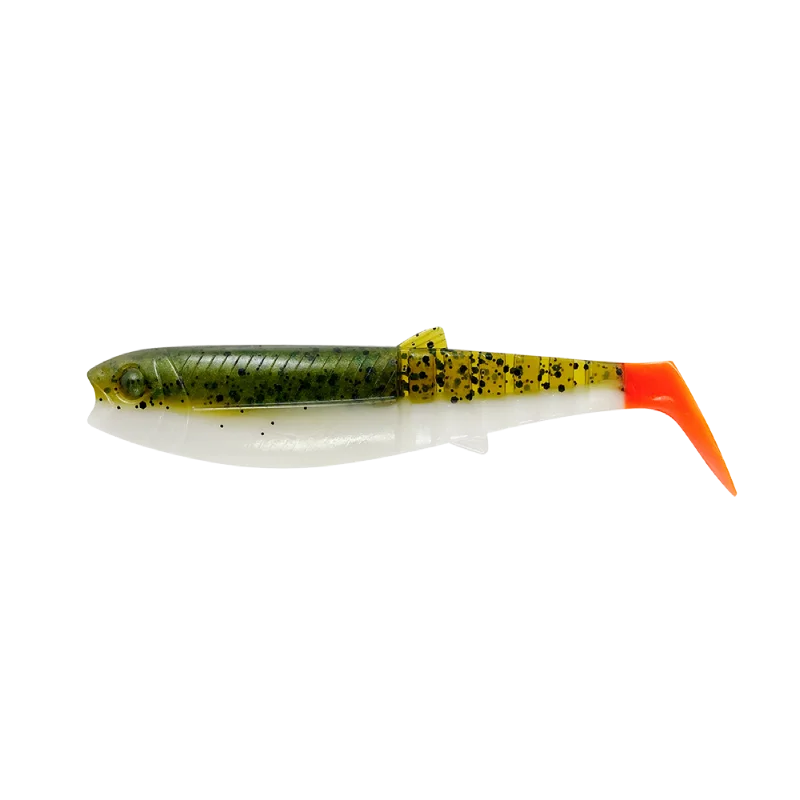 fishandnature-1841961