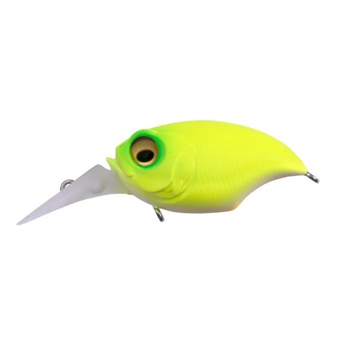 fishandnature-1842297