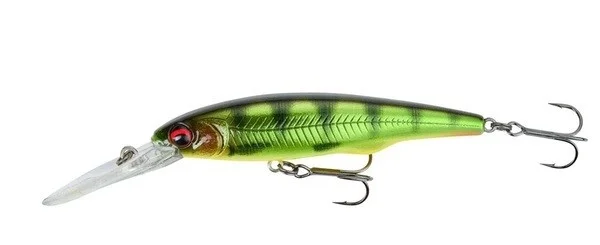 fishandnature-1843539