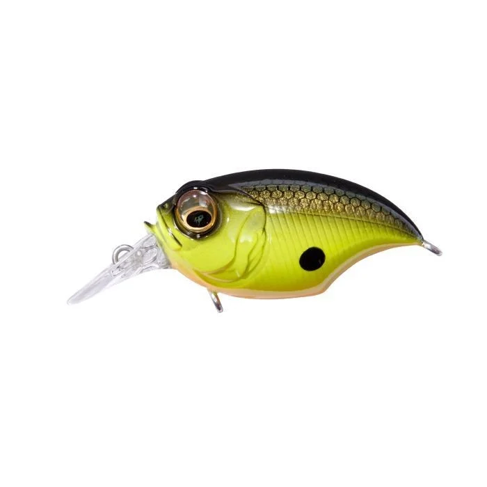 fishandnature-1843621