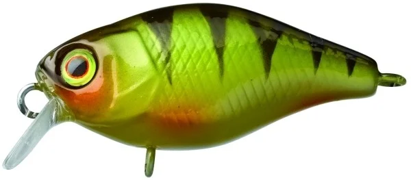 fishandnature-1845530