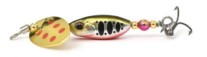 fishandnature-1845612