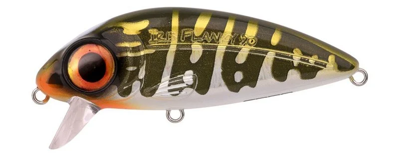 fishandnature-1845873