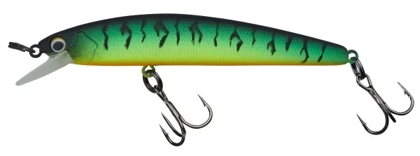 fishandnature-1847447