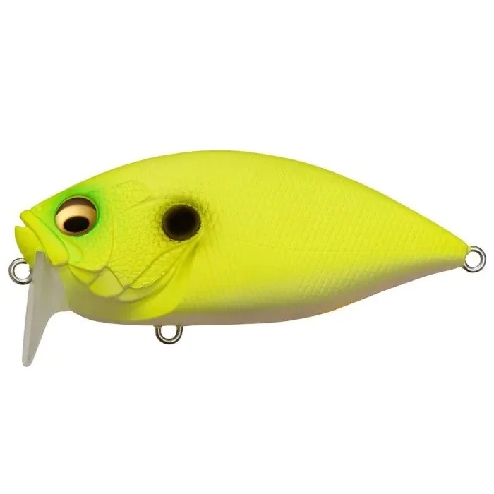 fishandnature-1848292