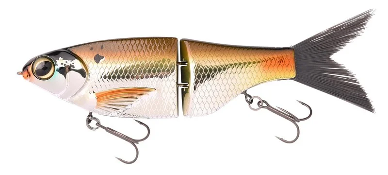 fishandnature-1848563