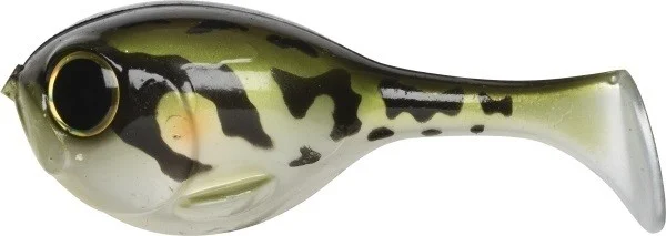 fishandnature-1851766