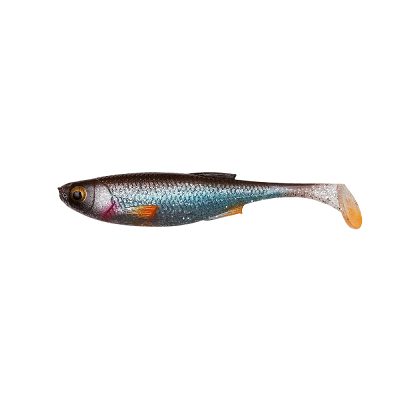 fishandnature-1854944