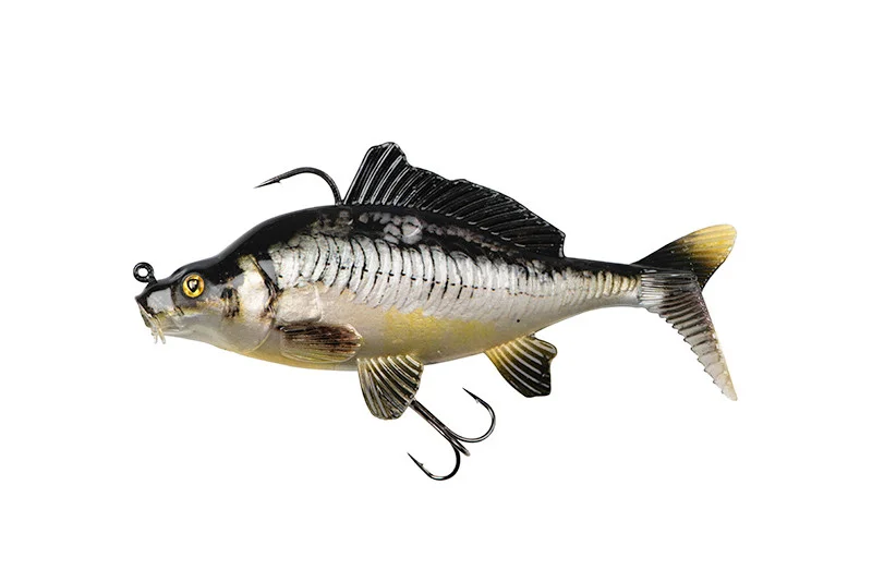 fishandnature-1855354